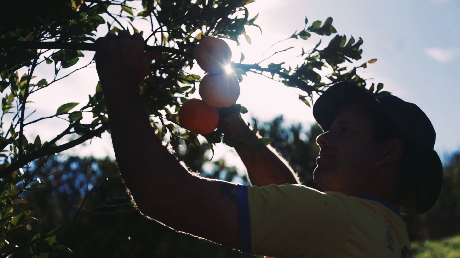 Orgânicos de Confiança